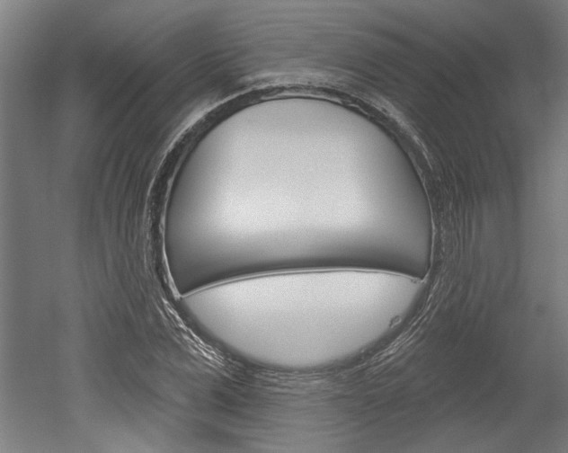 X0000052540975200507010814