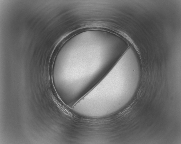 X0000052540980200507010814