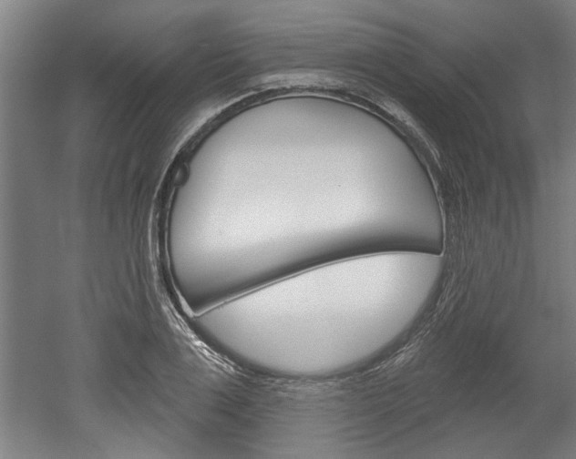 X0000052540983200507010814