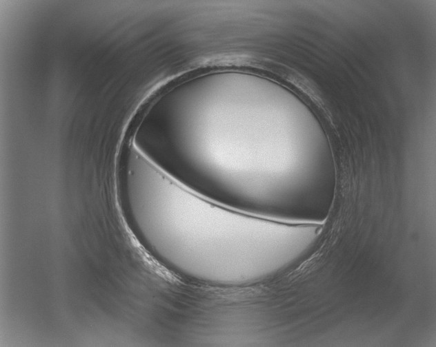 X0000052540984200507010814