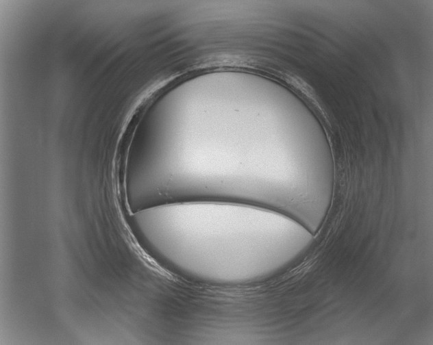 X0000052540987200507010814