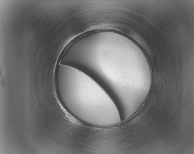 X0000052540988200507010814