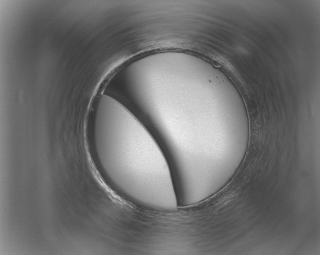 X0000052540991200507010814