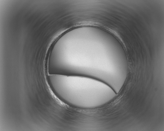 X0000052540995200507010814
