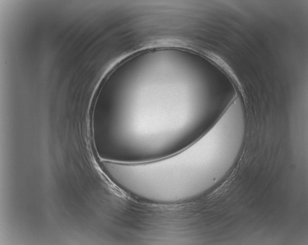 X0000052540996200507010814