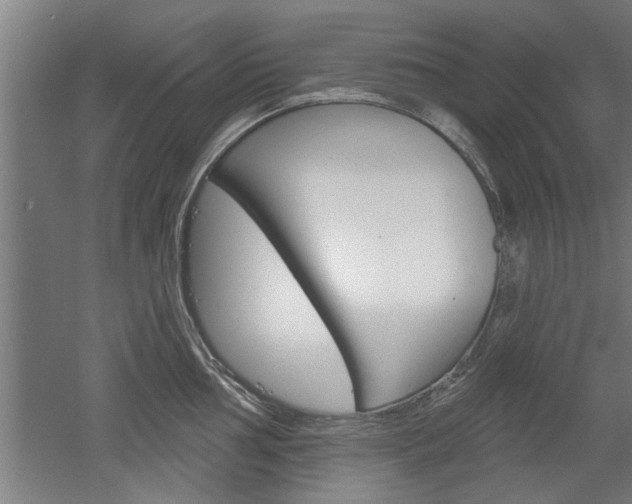 X0000052541002200507010814
