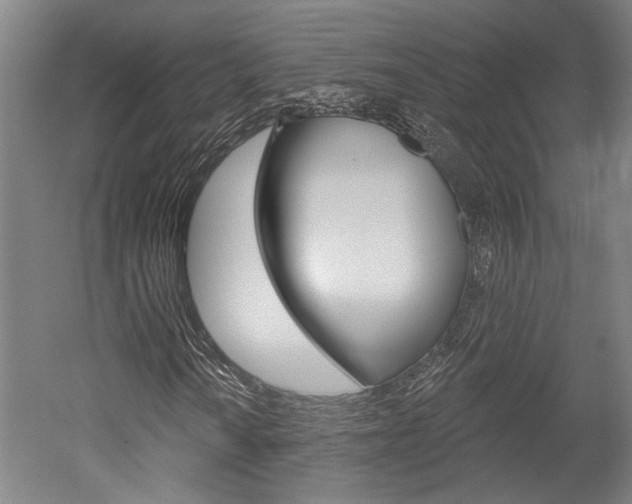 X0000052541010200507010813