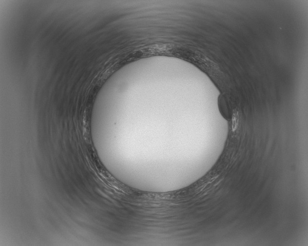 X0000052541011200507010813