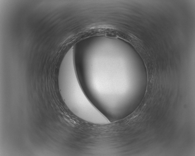 X0000052541014200507010813