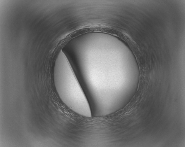X0000052541016200507010813