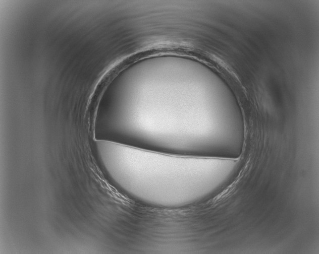 X0000052541021200507010813