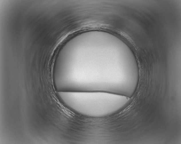 X0000052541023200507010813