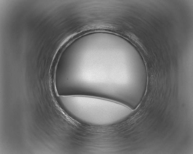 X0000052541024200507010813