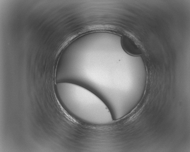 X0000052541033200507010813