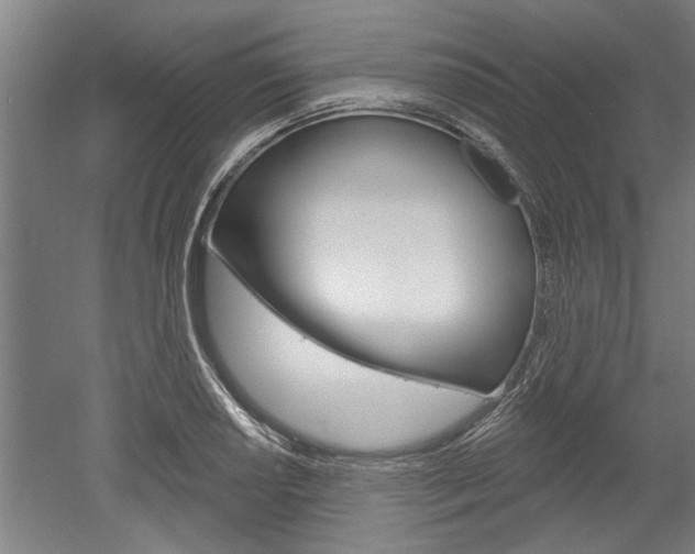 X0000052541034200507010813