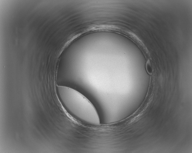X0000052541041200507010813