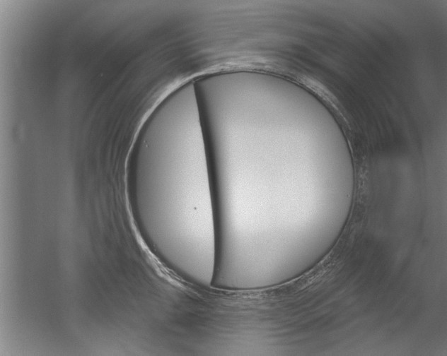 X0000052541047200507010814