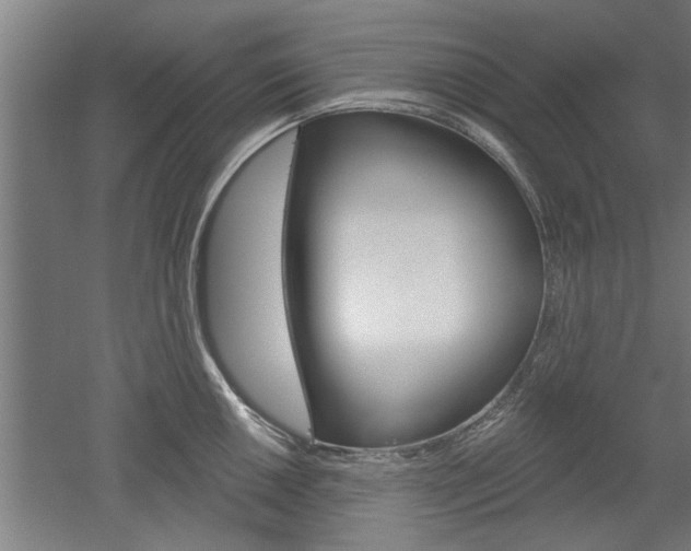 X0000052541050200507010814
