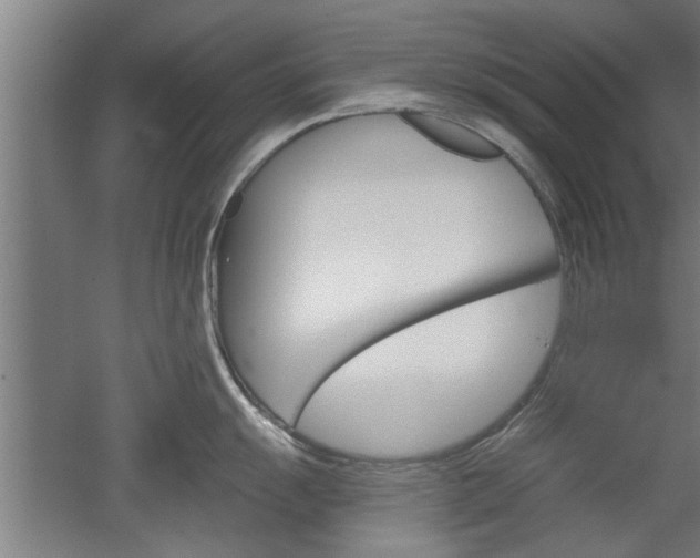 X0000052541055200507010814