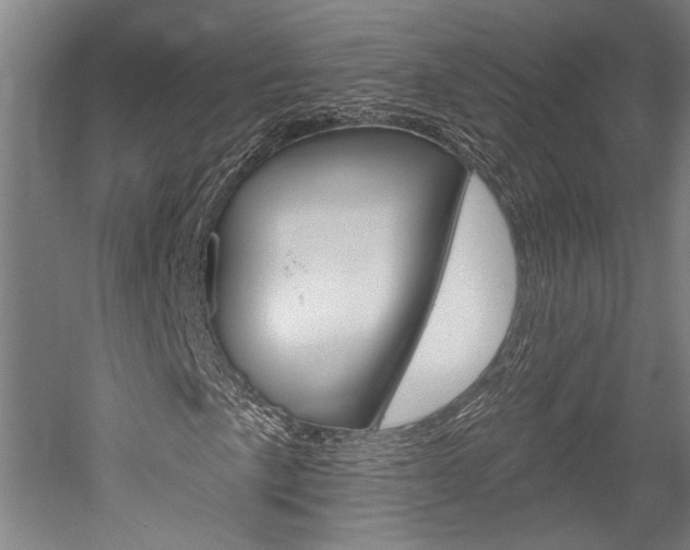 X0000052541057200507010813