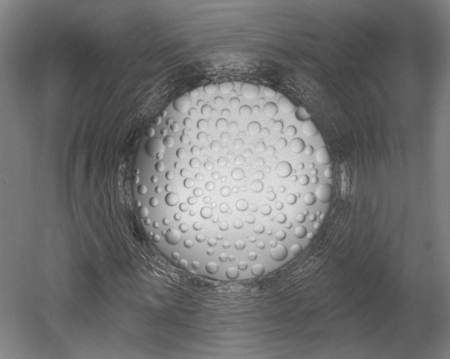 X0000052541059200507010813