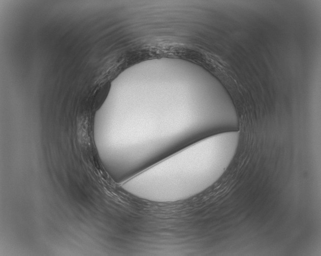 X0000052541060200507010813