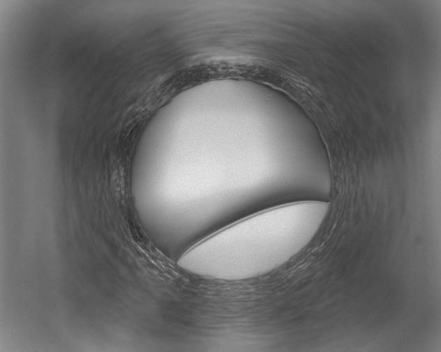 X0000052541061200507010813