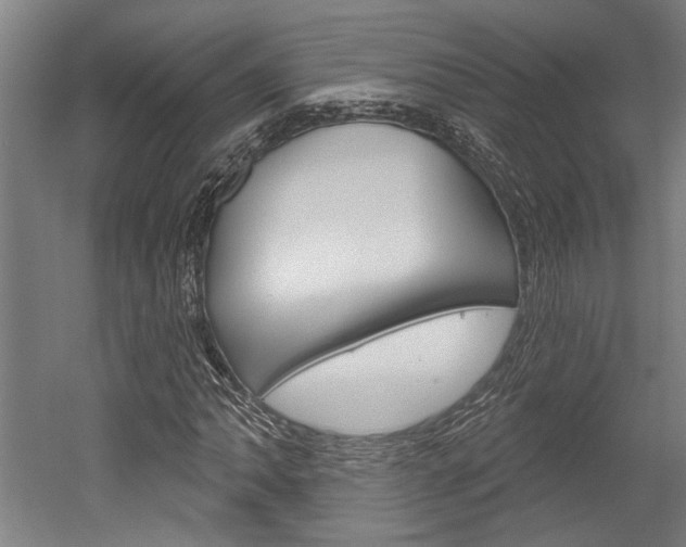 X0000052541062200507010813