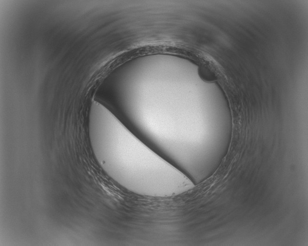 X0000052541064200507010813