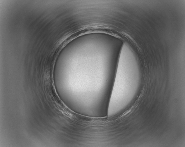 X0000052541065200507010813