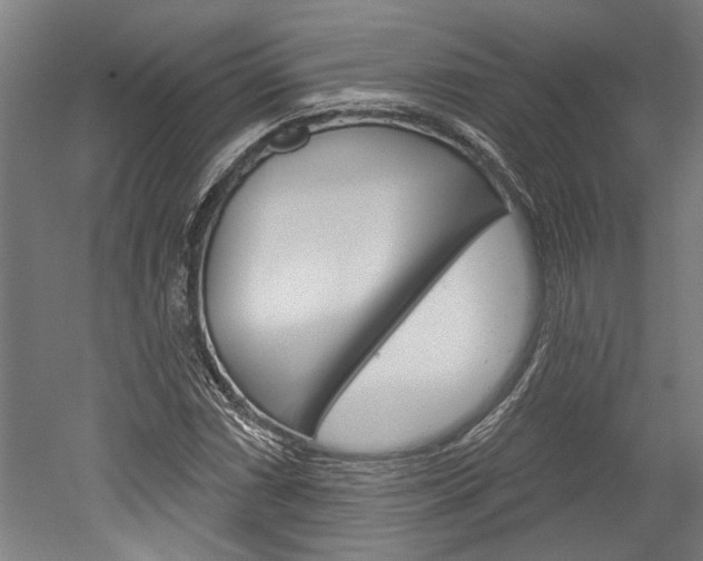 X0000052541066200507010813
