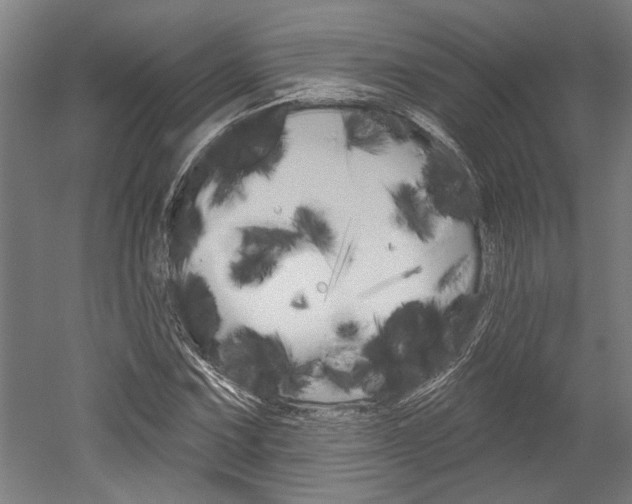 X0000052541067200507010813