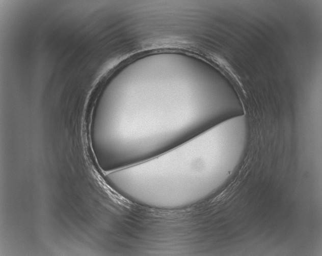 X0000052541072200507010813