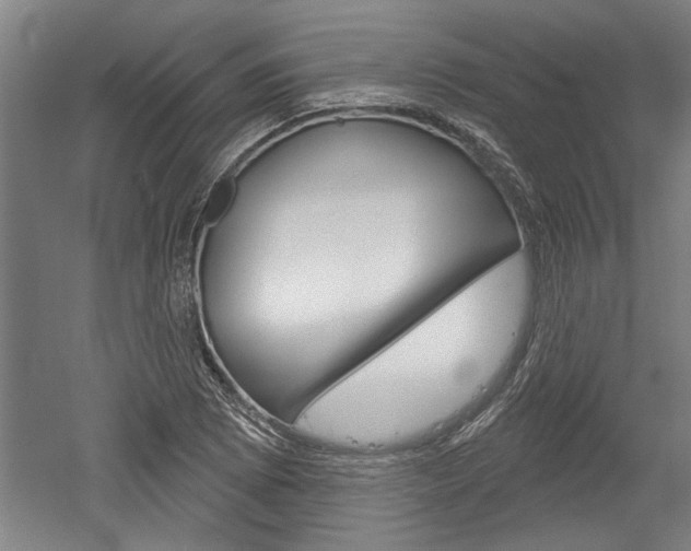 X0000052541073200507010813