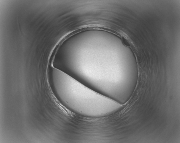 X0000052541076200507010813