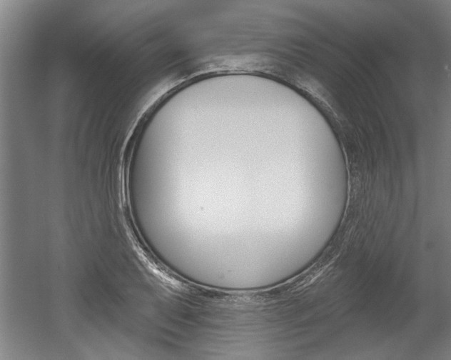 X0000052541079200507010813