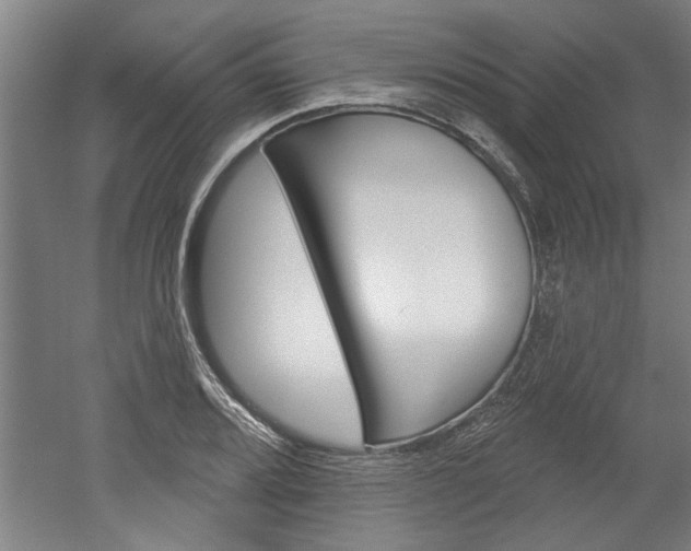 X0000052541080200507010813