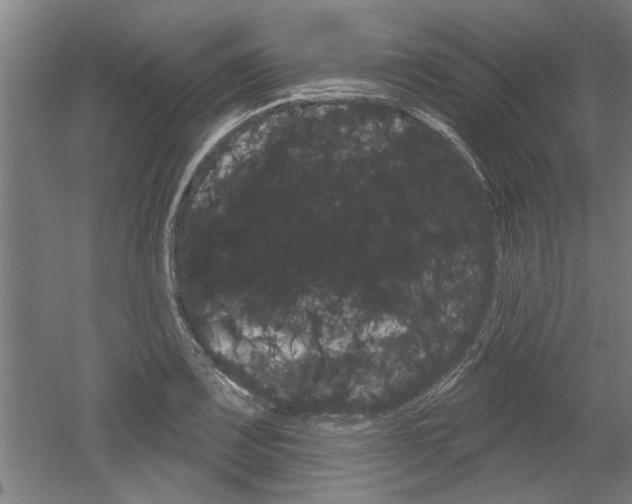X0000052541083200507010812