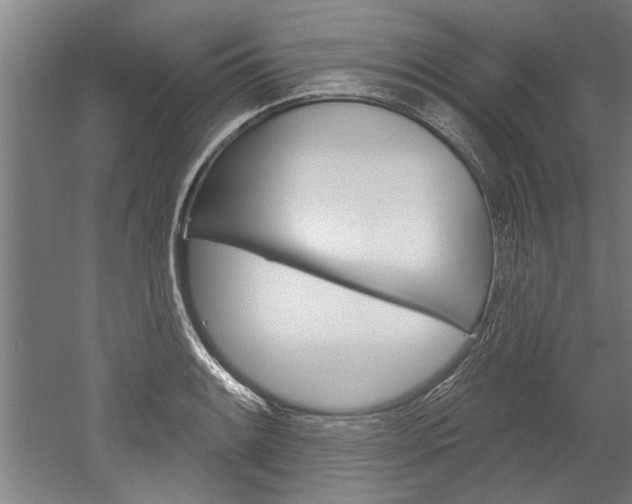 X0000052541084200507010812