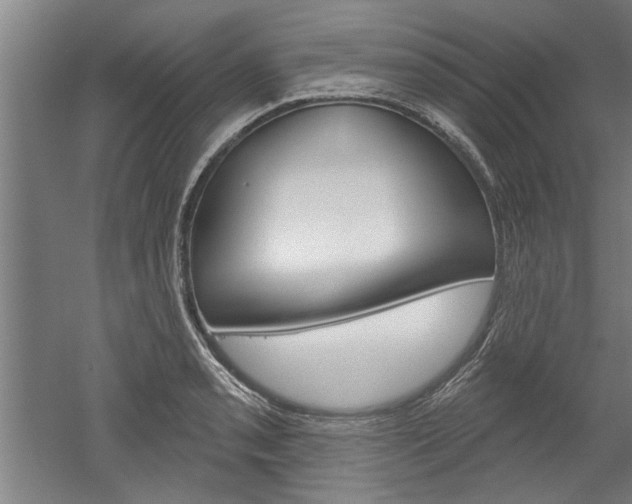 X0000052541085200507010812