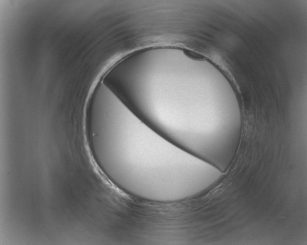 X0000052541096200507010812