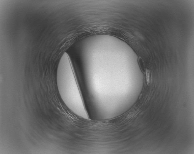 X0000052541107200507010811