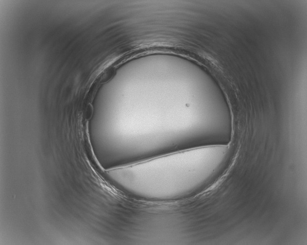 X0000052541113200507010811