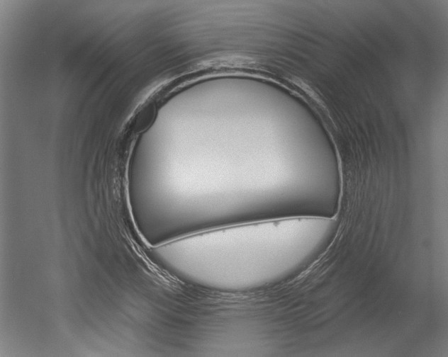 X0000052541115200507010811