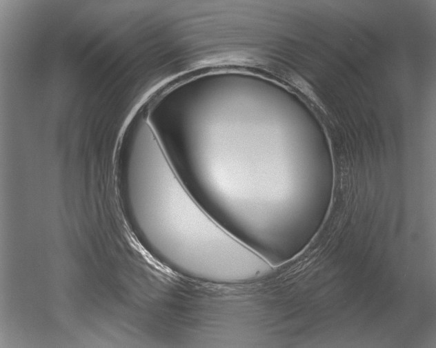 X0000052541116200507010812