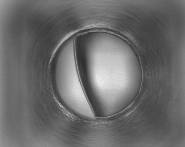X0000052541118200507010812