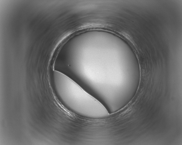 X0000052541119200507010812