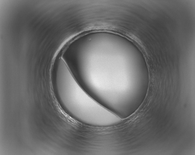 X0000052541120200507010812