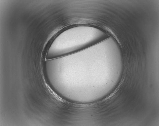 X0000052541122200507010812