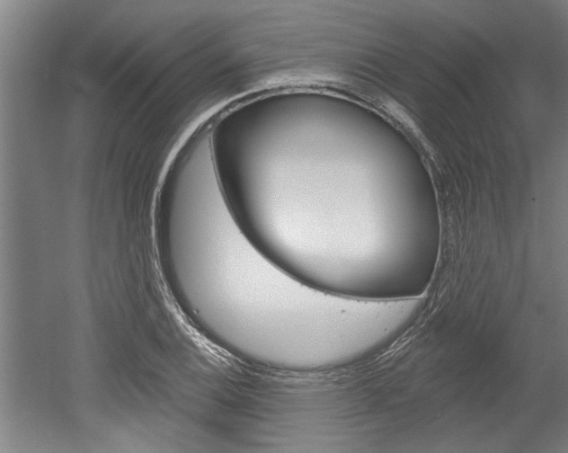 X0000052541124200507010812